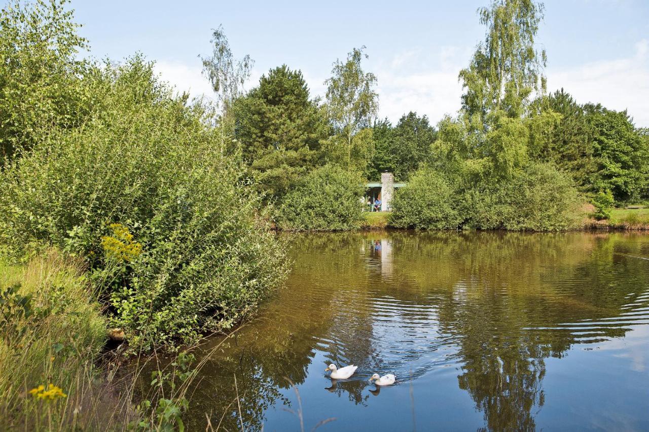Hotel Center Parcs Limburgse Peel Limburg-Brabant à America Extérieur photo